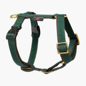 Suchtrupp Hundegeschirr Golden British Racing Green